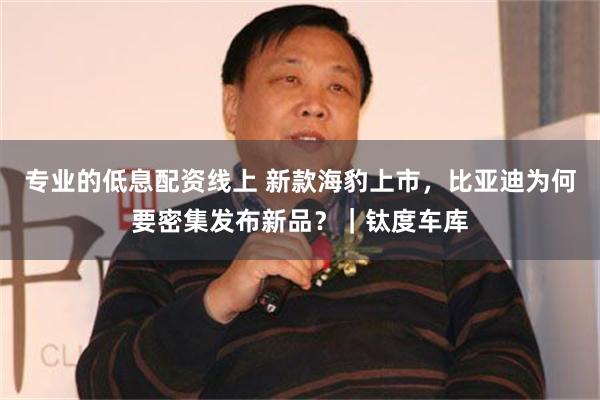 专业的低息配资线上 新款海豹上市，比亚迪为何要密集发布新品？｜钛度车库