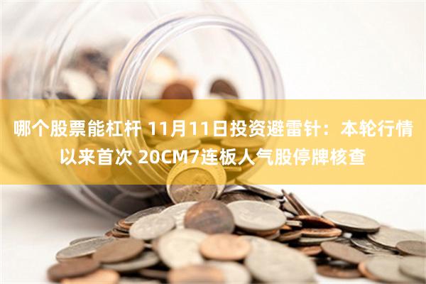 哪个股票能杠杆 11月11日投资避雷针：本轮行情以来首次 20CM7连板人气股停牌核查