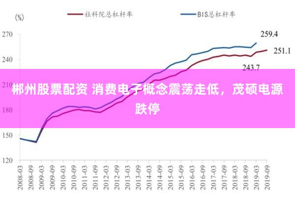 郴州股票配资 消费电子概念震荡走低，茂硕电源跌停