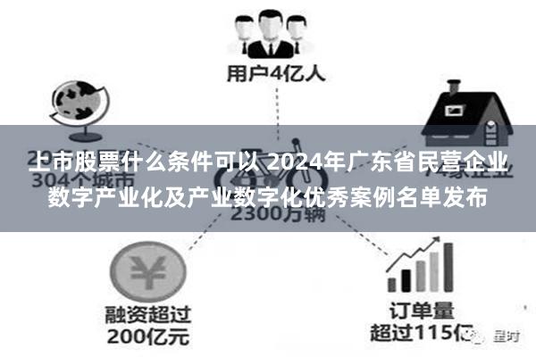 上市股票什么条件可以 2024年广东省民营企业数字产业化及产业数字化优秀案例名单发布