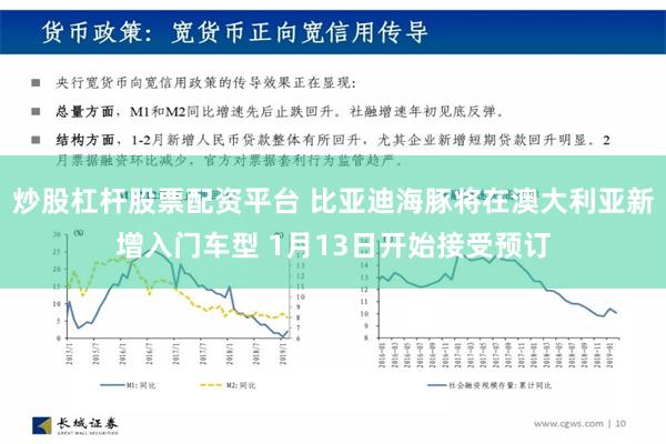 炒股杠杆股票配资平台 比亚迪海豚将在澳大利亚新增入门车型 1月13日开始接受预订